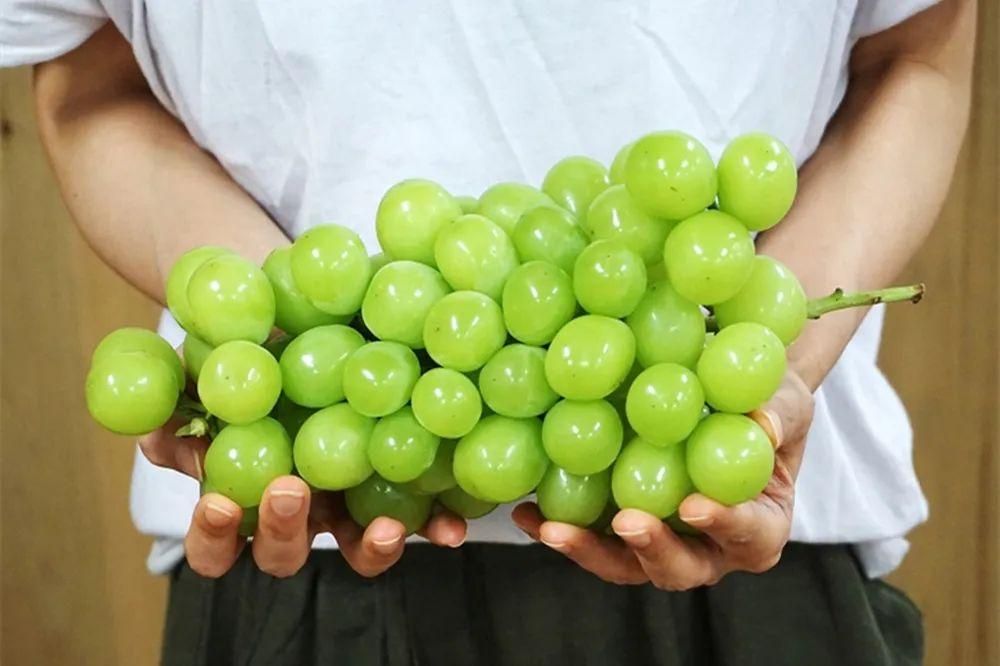 为何中国水果在日本如此畅销,为何中国还有人在卖日本水果