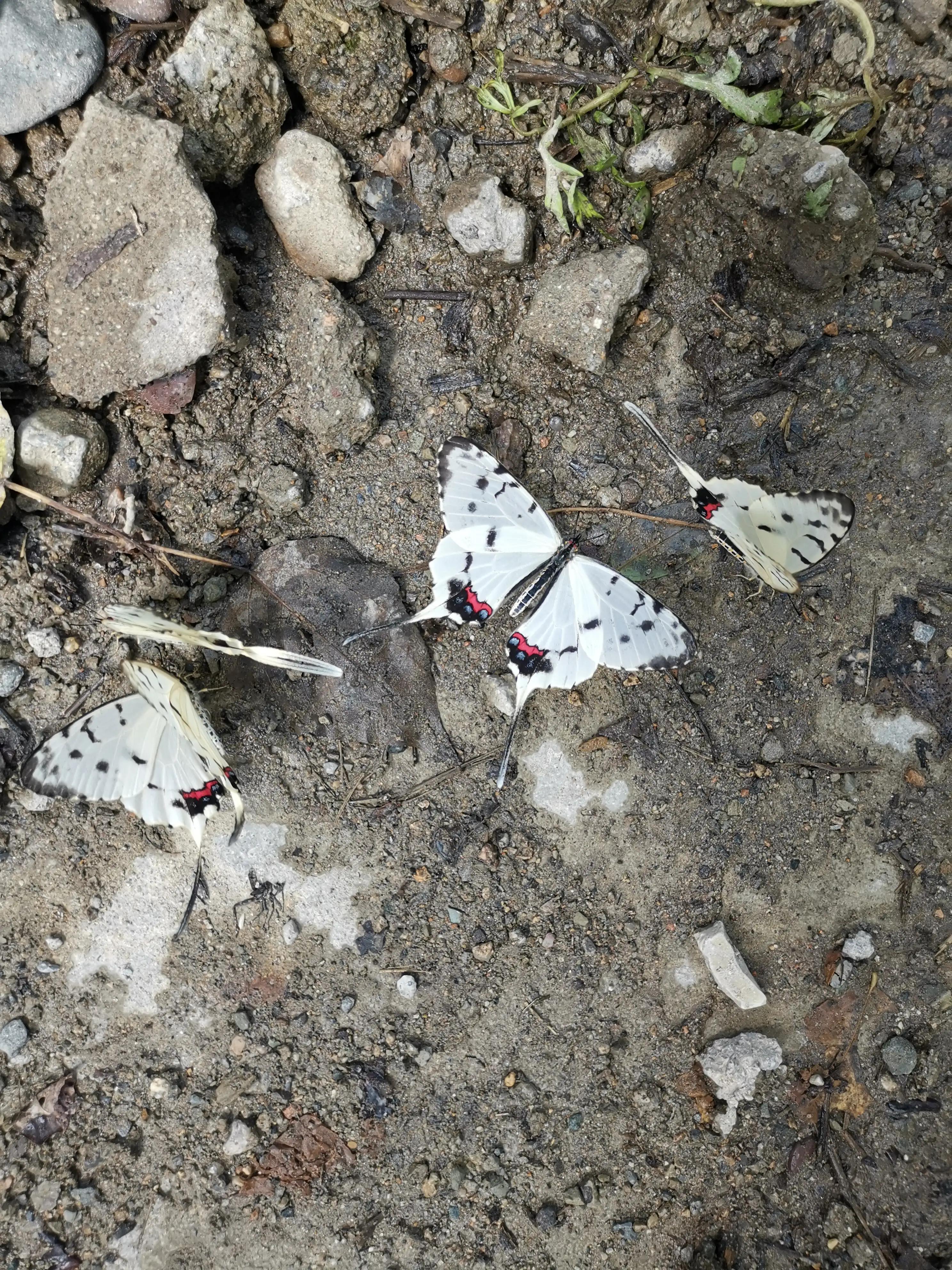 灵溪湾值得购买吗,灵溪好不好