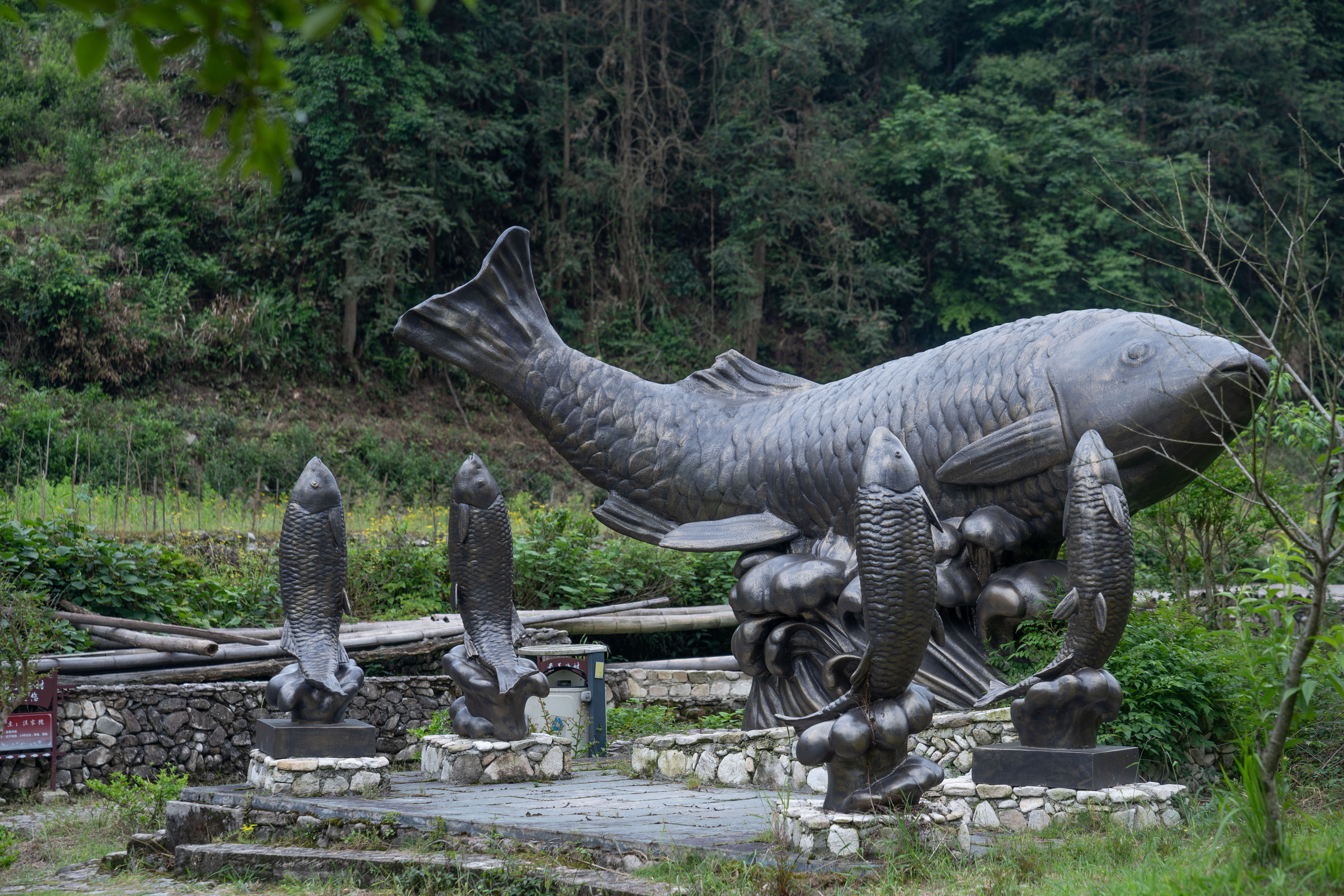 衢州哪里的鱼最好吃,衢州吃清水鱼最好的地方