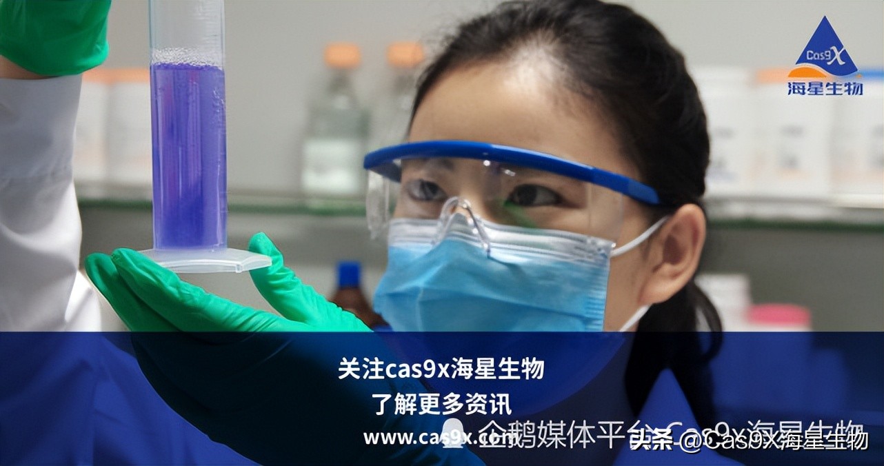 细胞培养基成分比例,细胞培养基的介绍