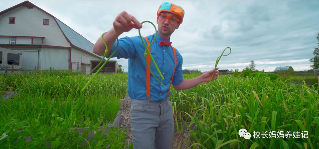 关于春天种植的英文儿歌,英文种植儿歌