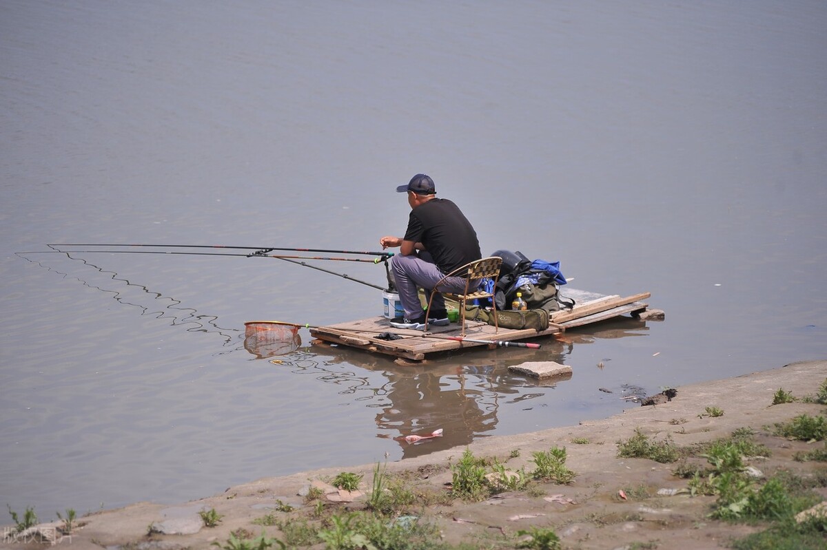钓鱼野钓发家致富,农村小伙钓鱼直播间
