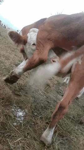 健身房有多乱知乎,健身房真的乱吗知乎后续