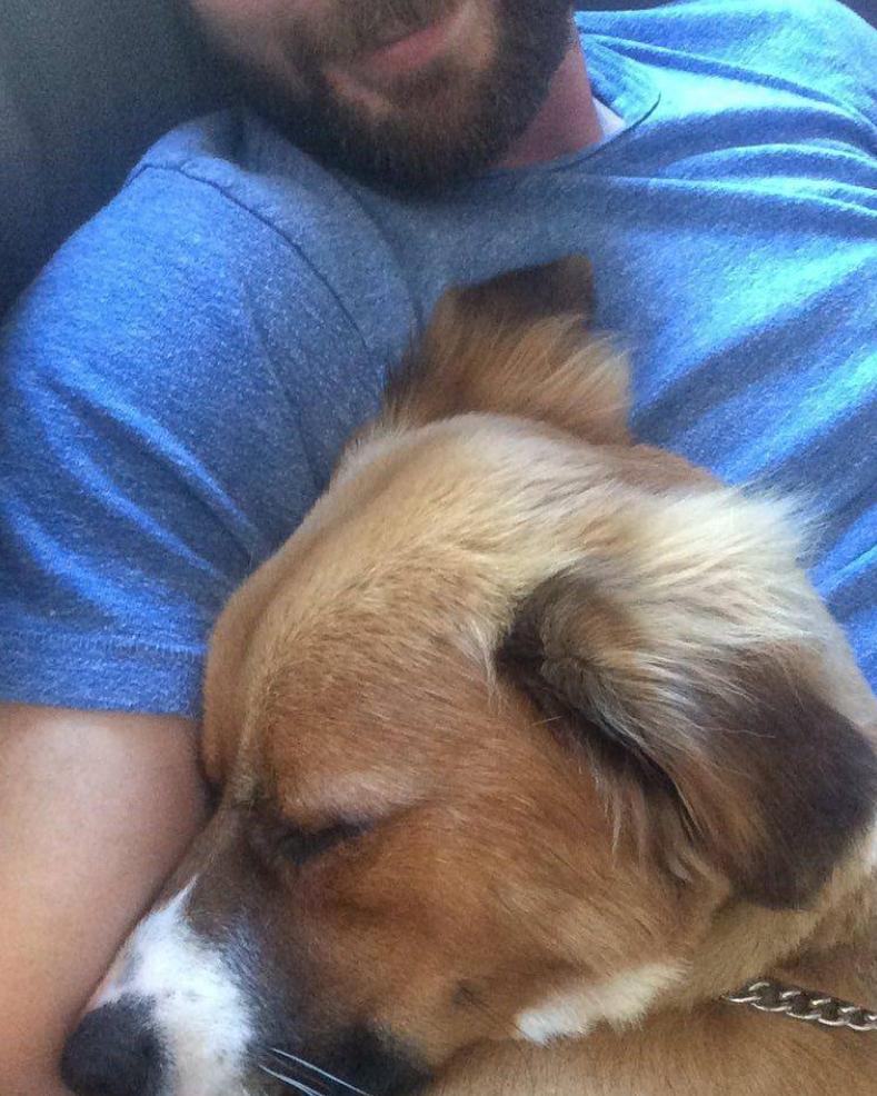 抖森当爸,抖森当爸爸了