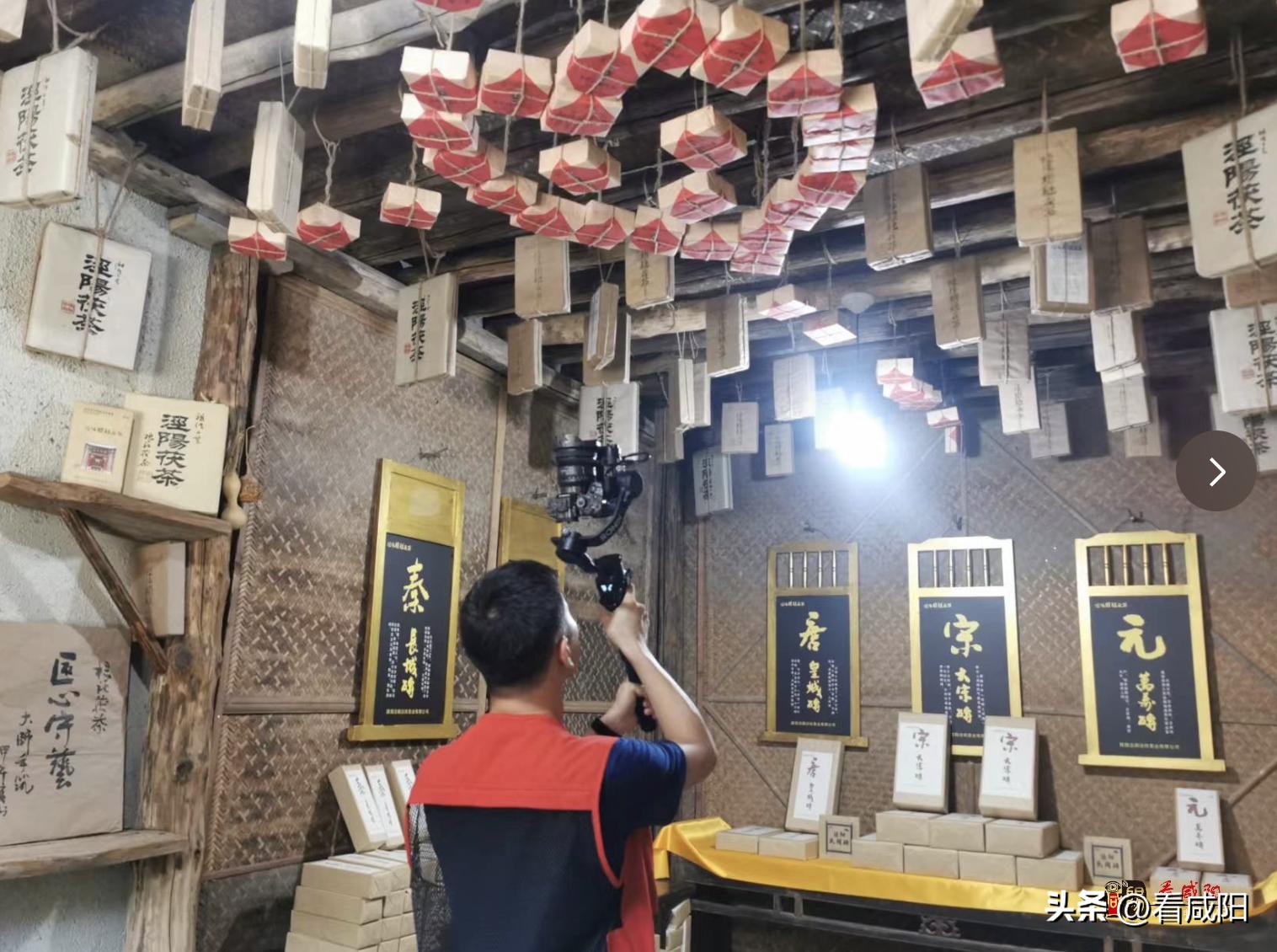 泾阳茯茶历史与文化,陕西泾阳茯茶的传承历史