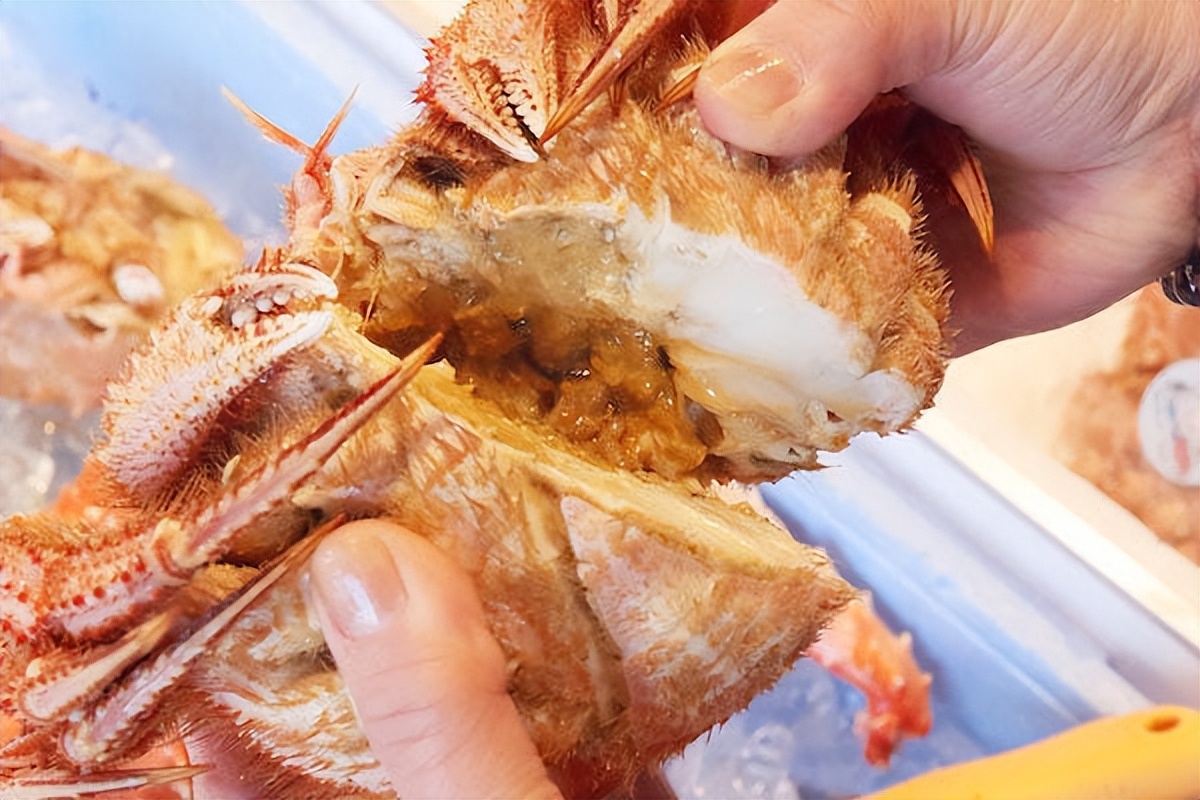 札幌美食攻略必买清单,札幌美食推荐