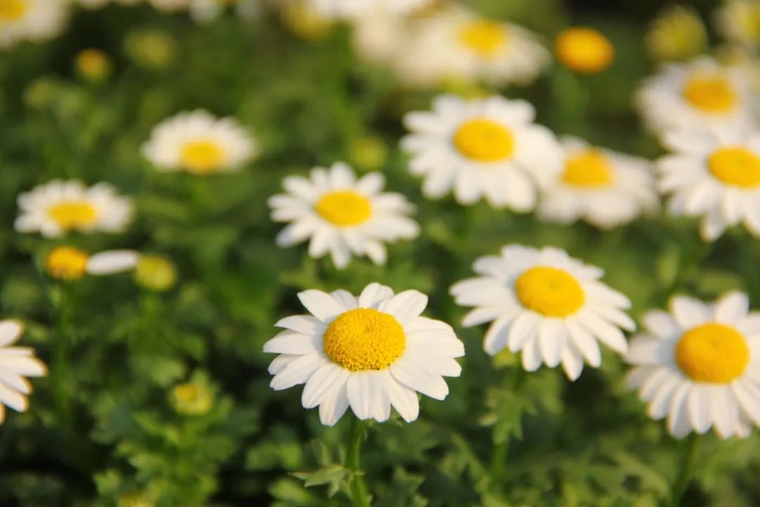 练瑜伽在孤独中强大自己,瑜伽不需要和别人比