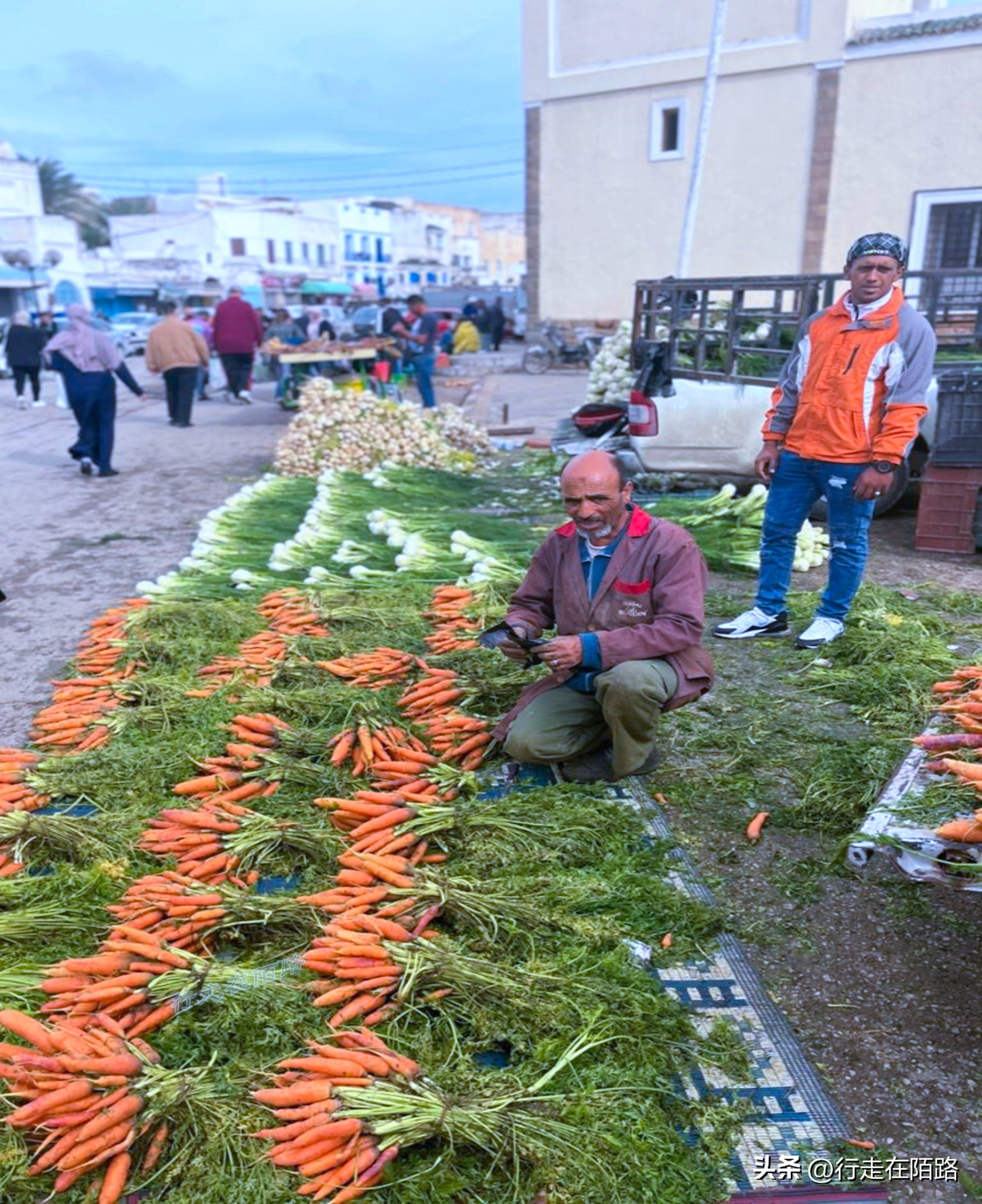 非洲突尼斯：不太一样的穆斯林国家，面积小人口少物价低