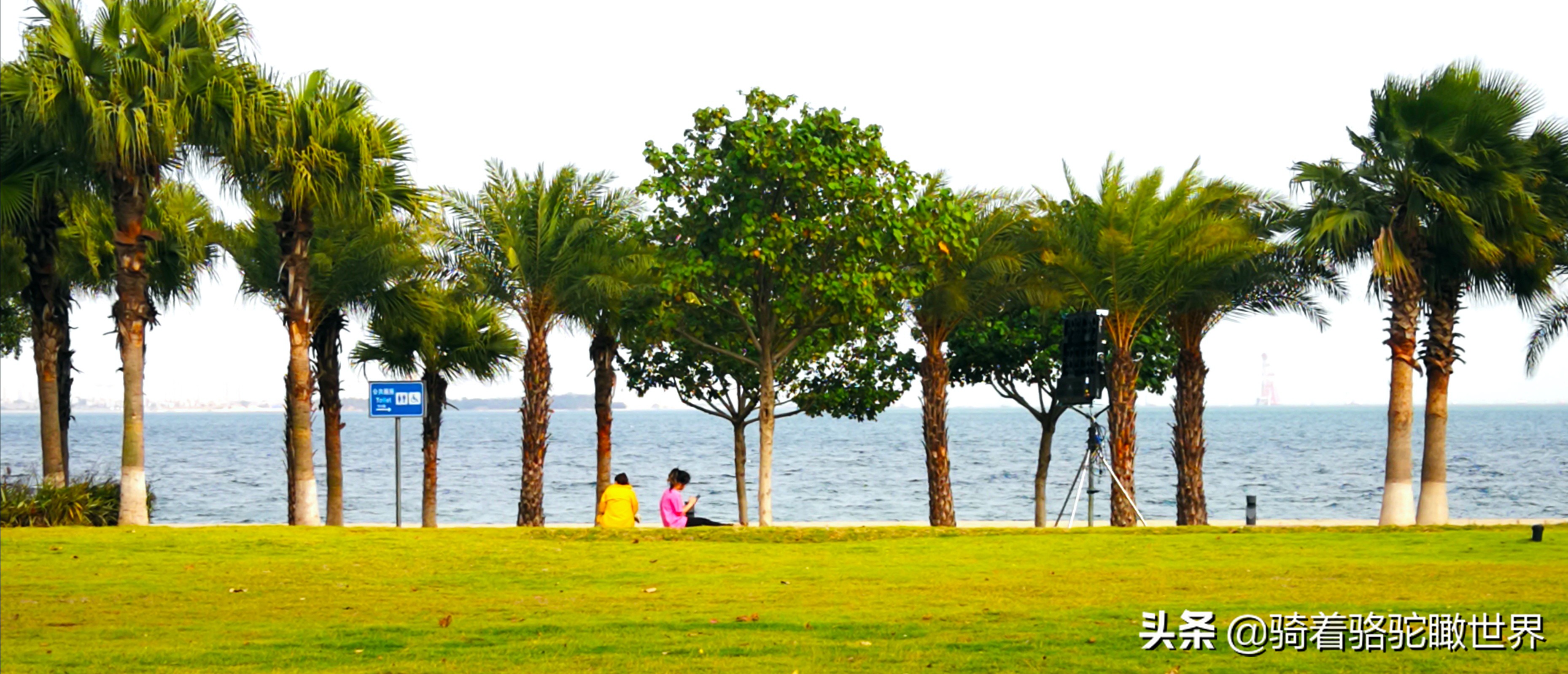 厦门彩虹沙滩哪一段赶海最好,黄金海岸赶海拾贝最佳地点