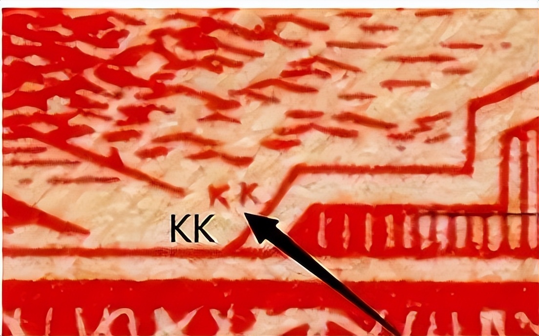 05版人民币各个券别防伪特征,用荧光灯辨别老版人民币真伪