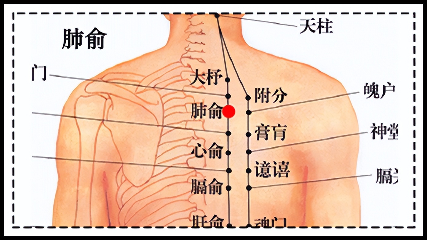 兰州市第二人民医院呼吸科电话,兰州第二人民医院呼吸科专家