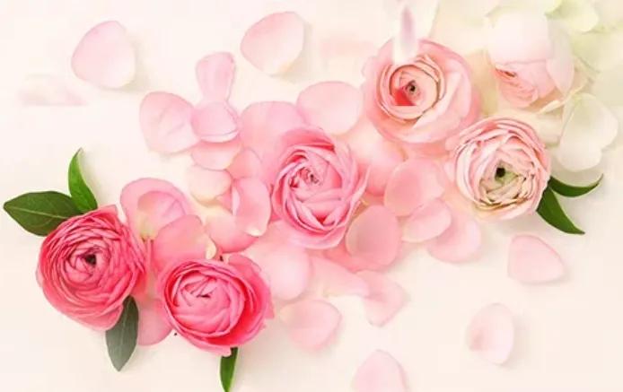 锥切以后切缘是阳性怎样治疗,二次锥切后切缘阳性的几率高吗