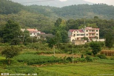 豆角农药中毒,长豆角中毒事件