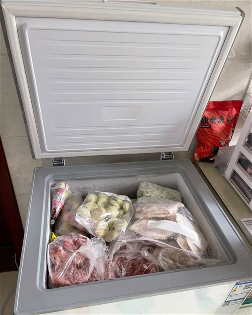 40度冰柜有必要买吗,十大不建议入手的冰柜