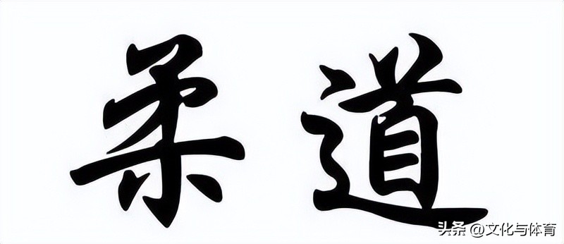 柔道解读,对柔道的理解