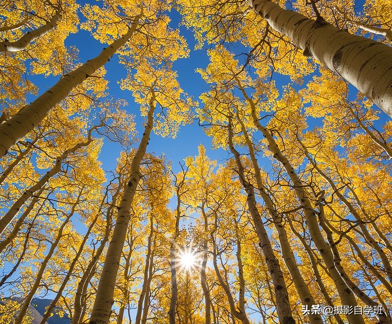 手机风光视频摄影技巧,风光照片如何修图