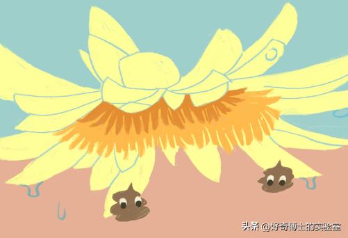 男人性功能的最大威胁者，居然是*裤内**？