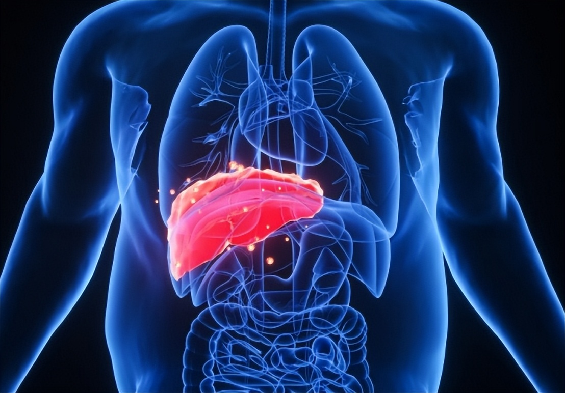 鱼腥草含一级致癌物，伤肾还致癌？折耳根还能吃吗？过度解读了！