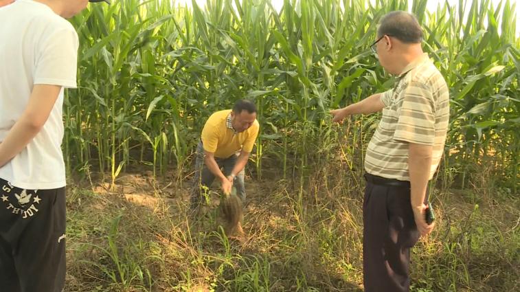 这应该是靠实力“碾压”！南充嘉陵这家企业被北京那边盯上了……