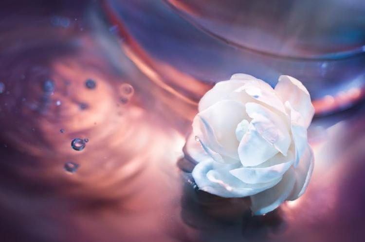 夫妻之间没有共同使用的三样东西,夫妻之间不要共用三样东西