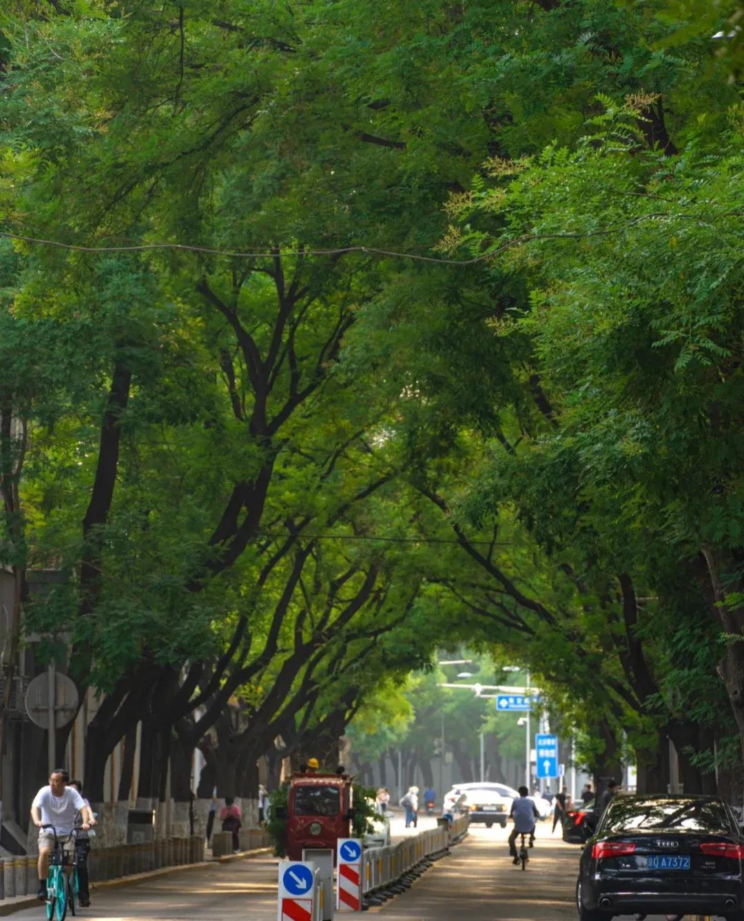 参观北京故宫的一日游计划,北京看升旗故宫长城二日游