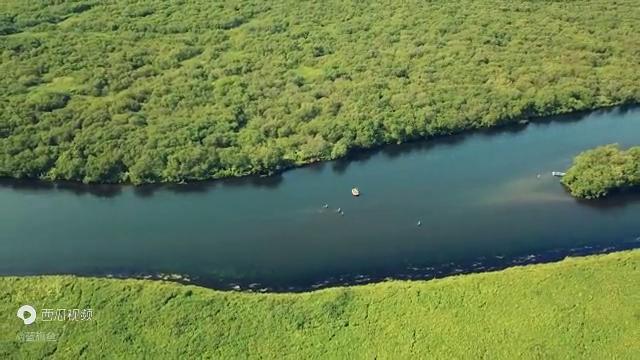 蓝旗鱼怪物路亚介绍,蓝旗鱼路亚马口