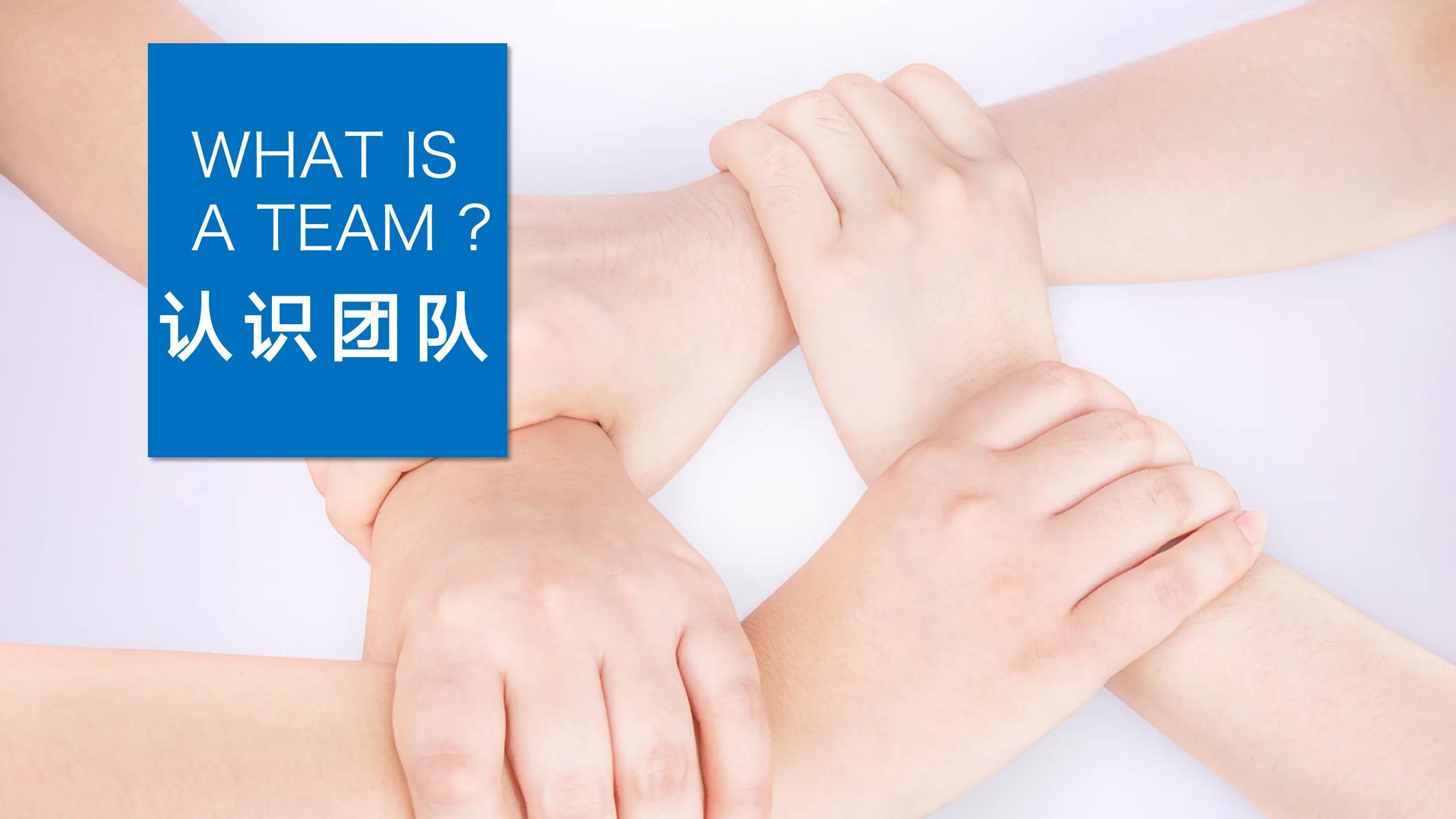 团队管理做好这三点半年逆袭,团队的建设与管理最佳方案