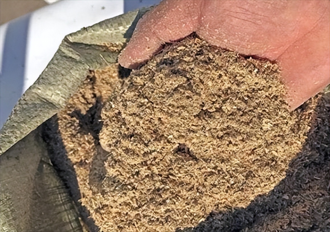 变态*杀凶**案！少女惨遭变态*魔色**砍成人彘，下身被塞满韭菜死去！