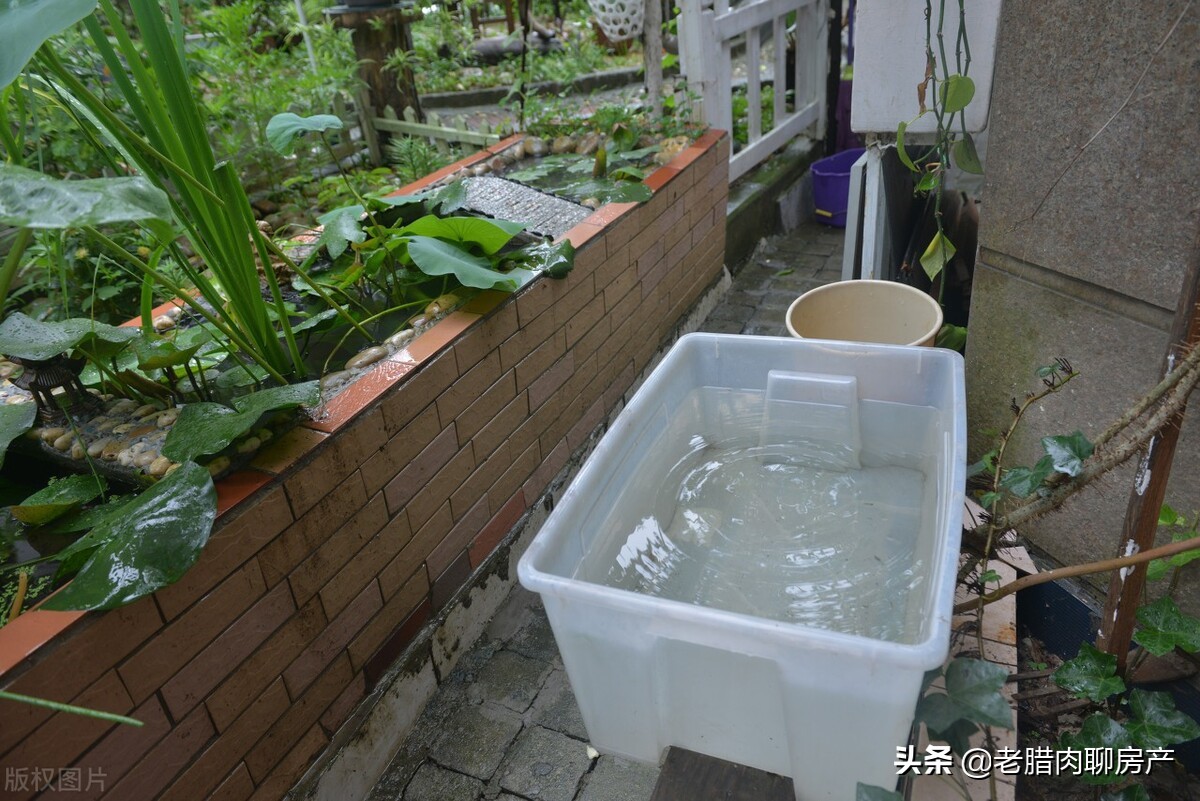 为什么一楼带院是个坑,为什么买房是最深的套路