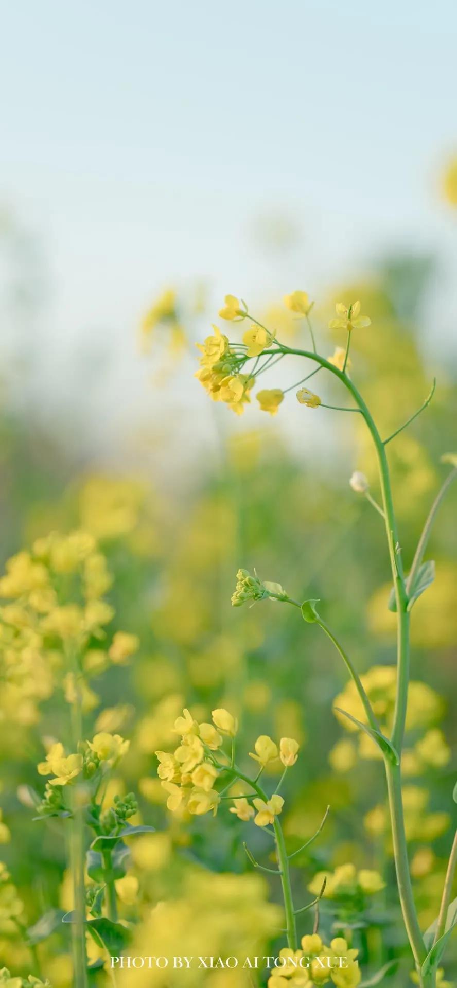 超高清海洋沙滩风景壁纸全屏,湛蓝的海水海滩风景高清壁纸