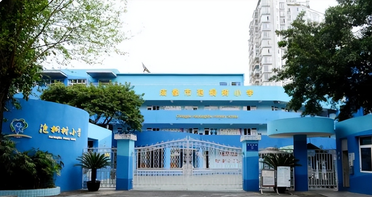 2019成都各区小学排名,成都5+2区域小学有什么优势