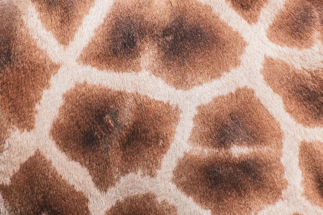 一辈子就这一种穿搭，一定要惊艳全场