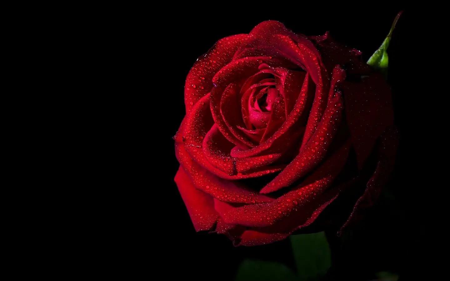 男朋友送给我的第一支口红，是别人用过的