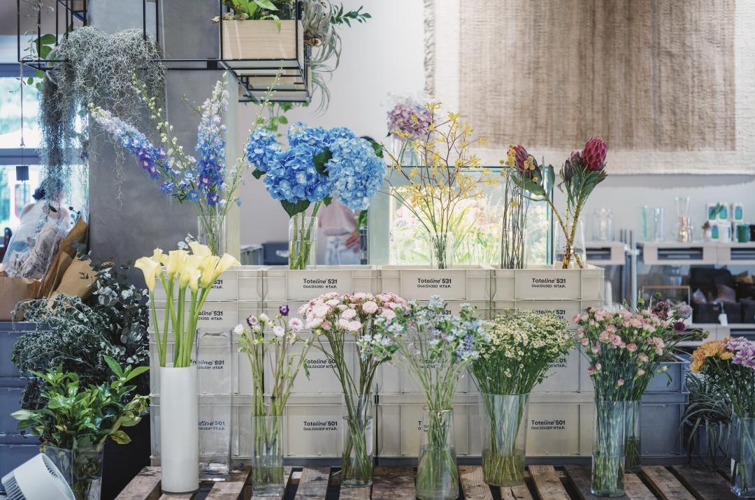 三亚沙滩和碧海蓝天,三亚有清澈的海水和美丽的沙滩