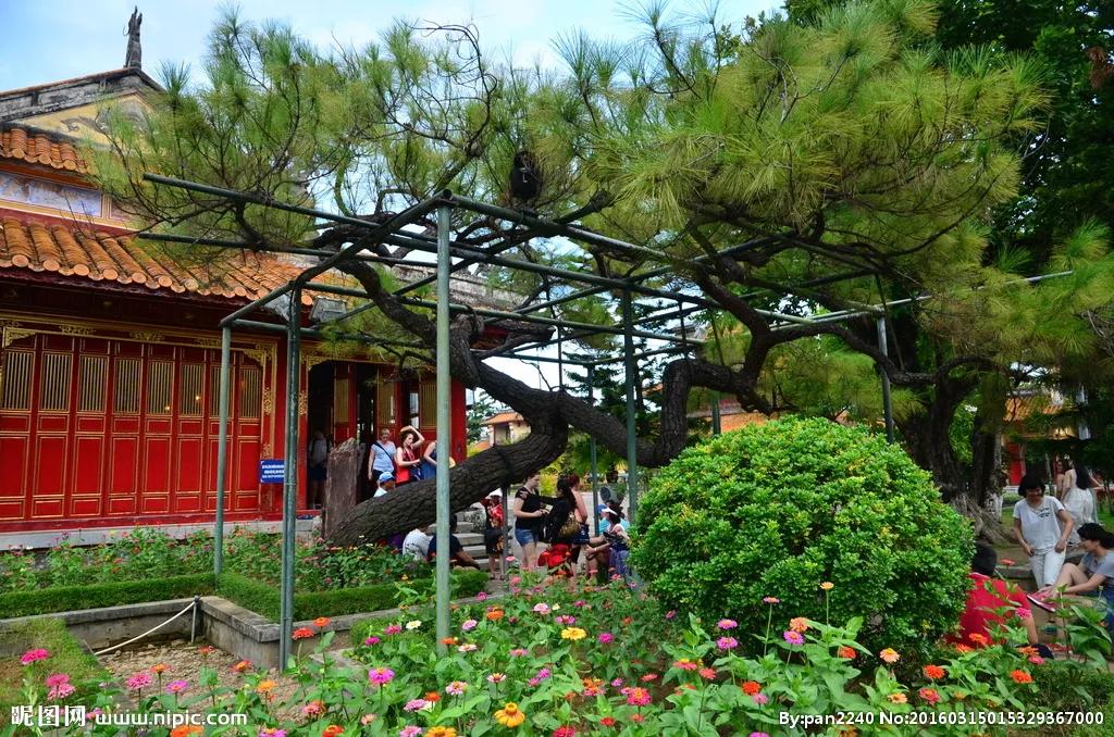 越南网友谈中国越南关系,越南网友评论中国是发展中国家吗