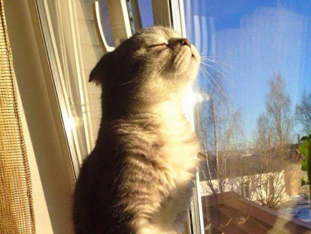 35万左右卡宴,35万的保时捷卡宴