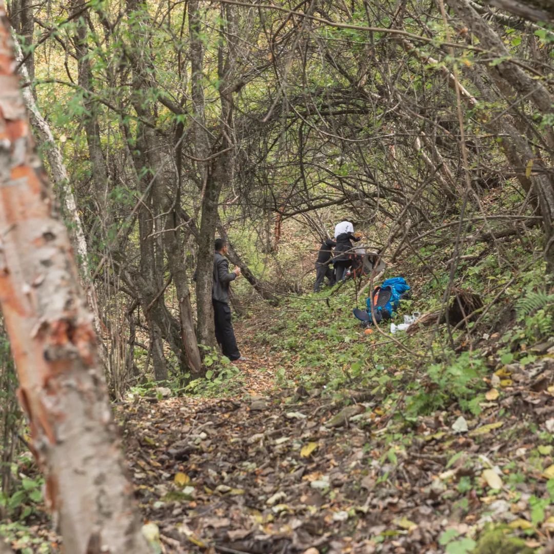 登太白山感受,太白山景区登顶拔仙台