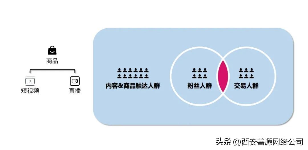 抖音直播账号打造的核心逻辑,如何做好账号的人设和场景定位