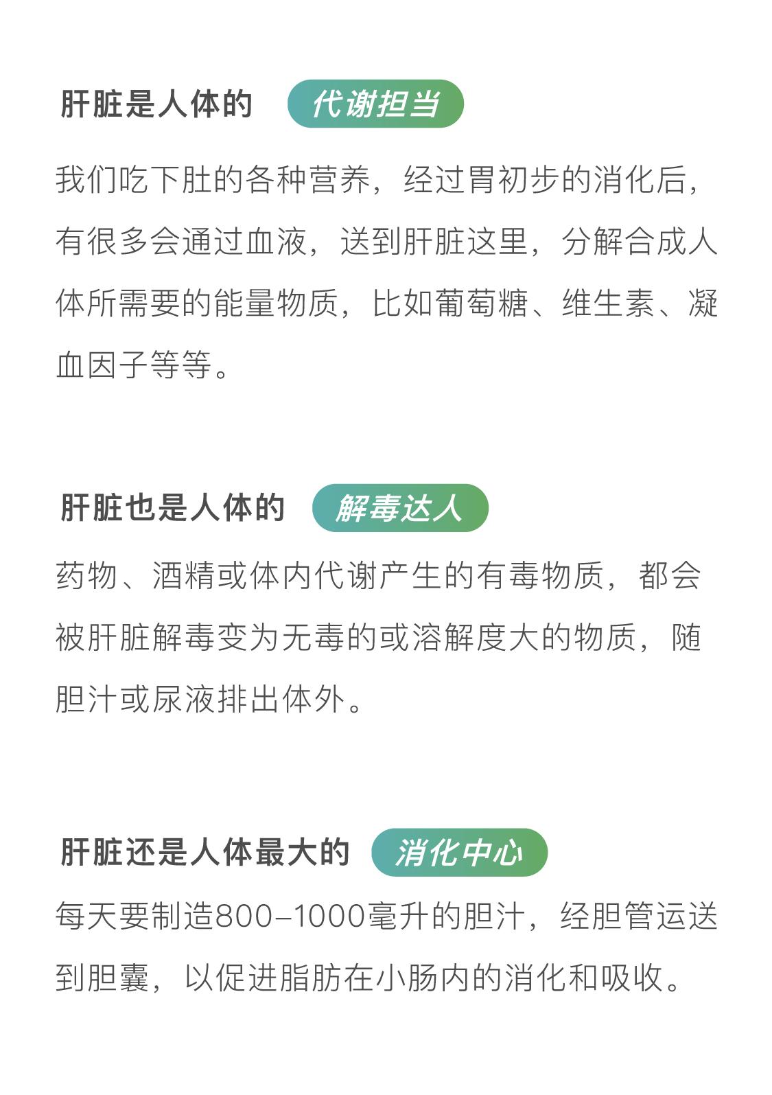 爆肝近一年全过程,我们的肝长什么样子