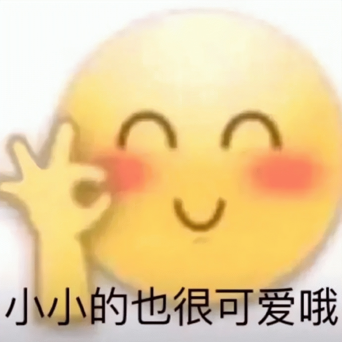 华硕与索尼是一样的牌子吗,索尼和华硕是一种型号嘛