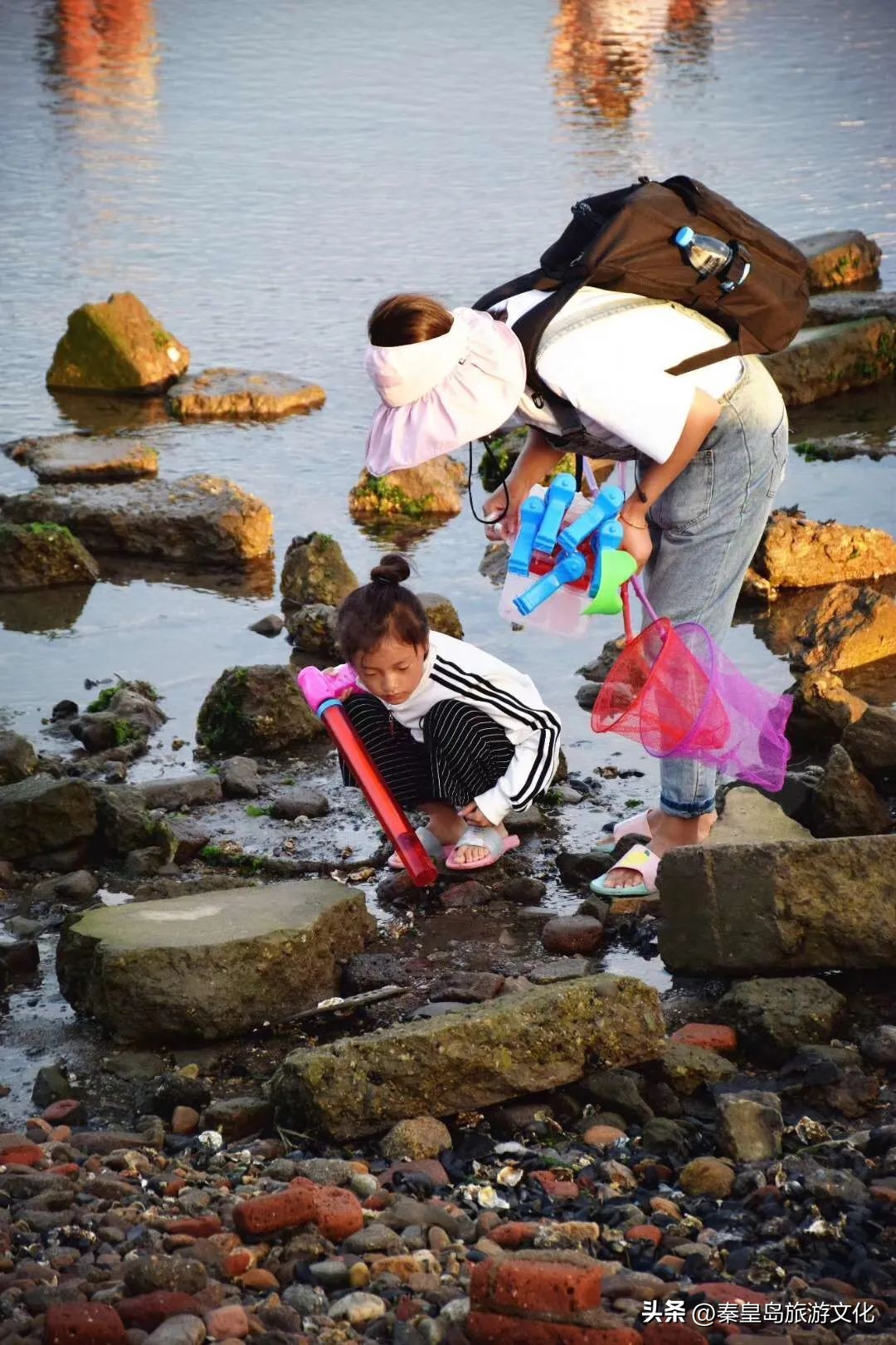 秦皇岛赶海海鲜都有什么,秦皇岛哪里可以赶海捉海鲜