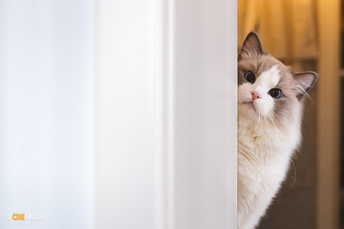 搞笑反转的文案发朋友圈,那些笑掉你下巴的沙雕神反转文案