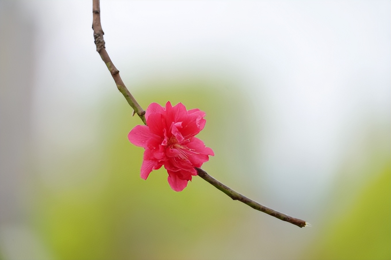 成都周边古镇一日游推荐秋冬季,成都1-2天短途旅游推荐古镇