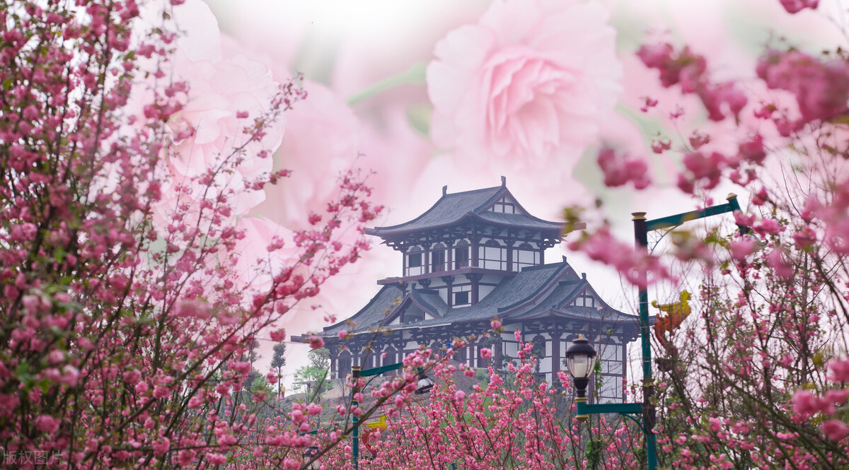 成都春天超美的地方,成都现在风景最美的地方