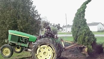 生活里也有乐趣,我们的生活有哪些乐趣呢