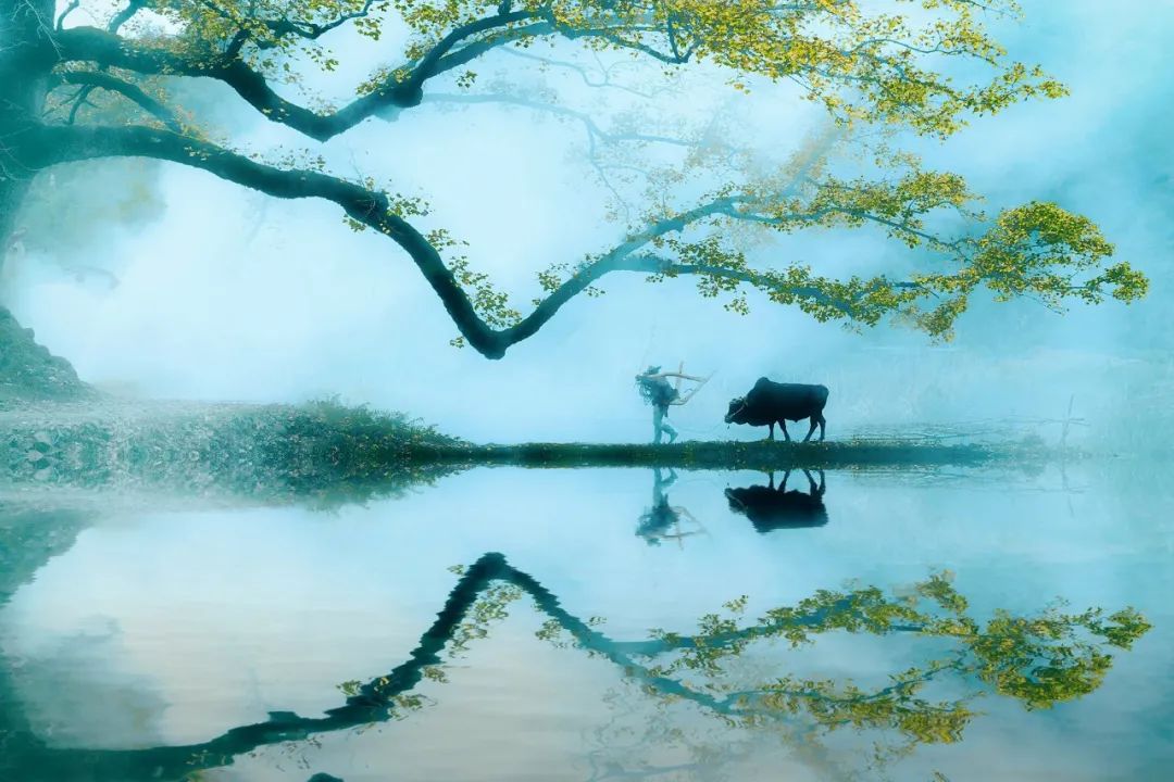 一首很美的田园诗清新怡情,经典田园风光诗10首