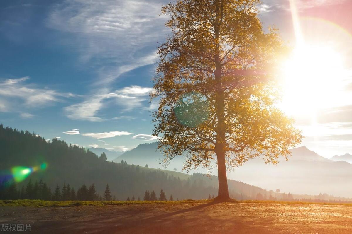 如何成为合格的股票投资人,如何成为炒股高手的方法