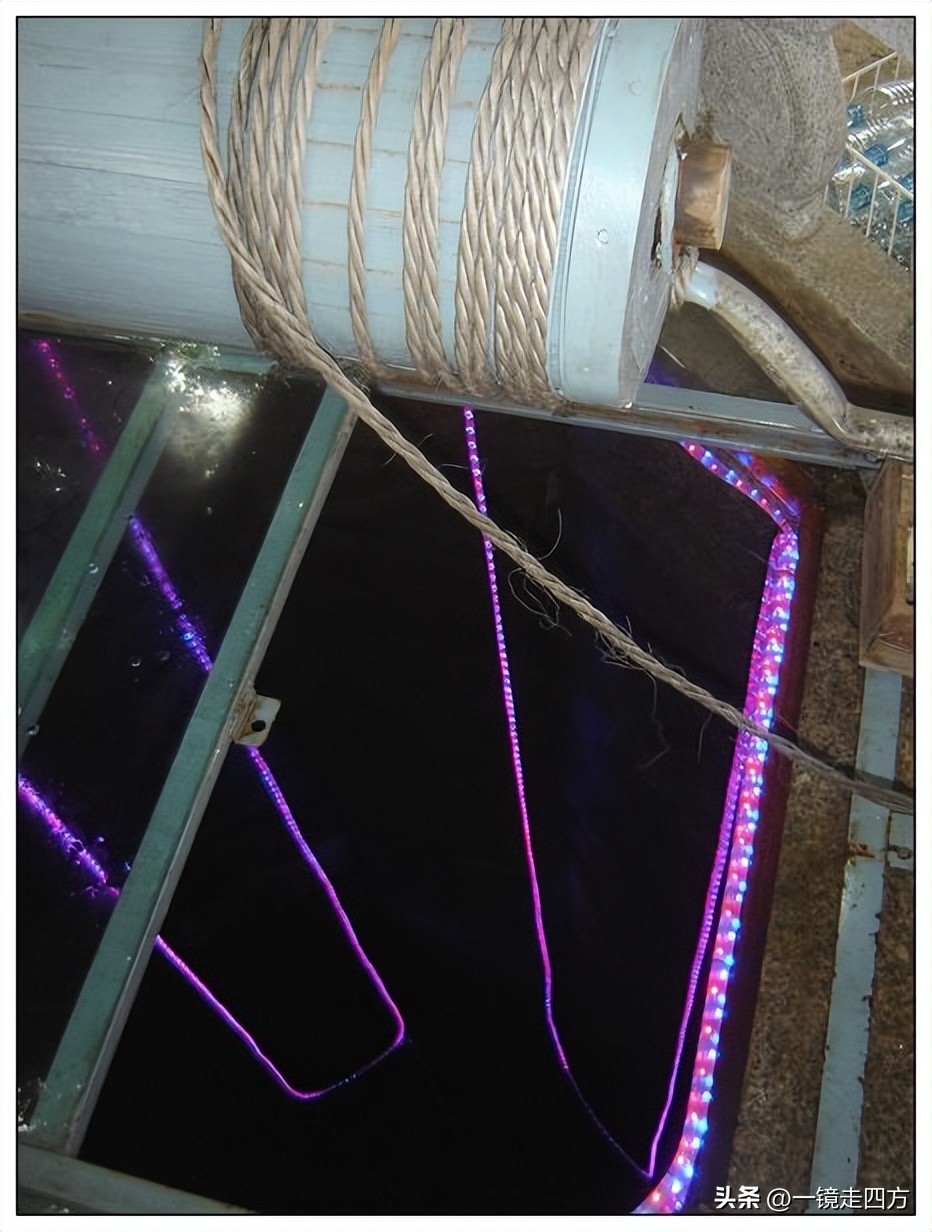 到兴城旅游,兴城怎么去菊花岛旅游