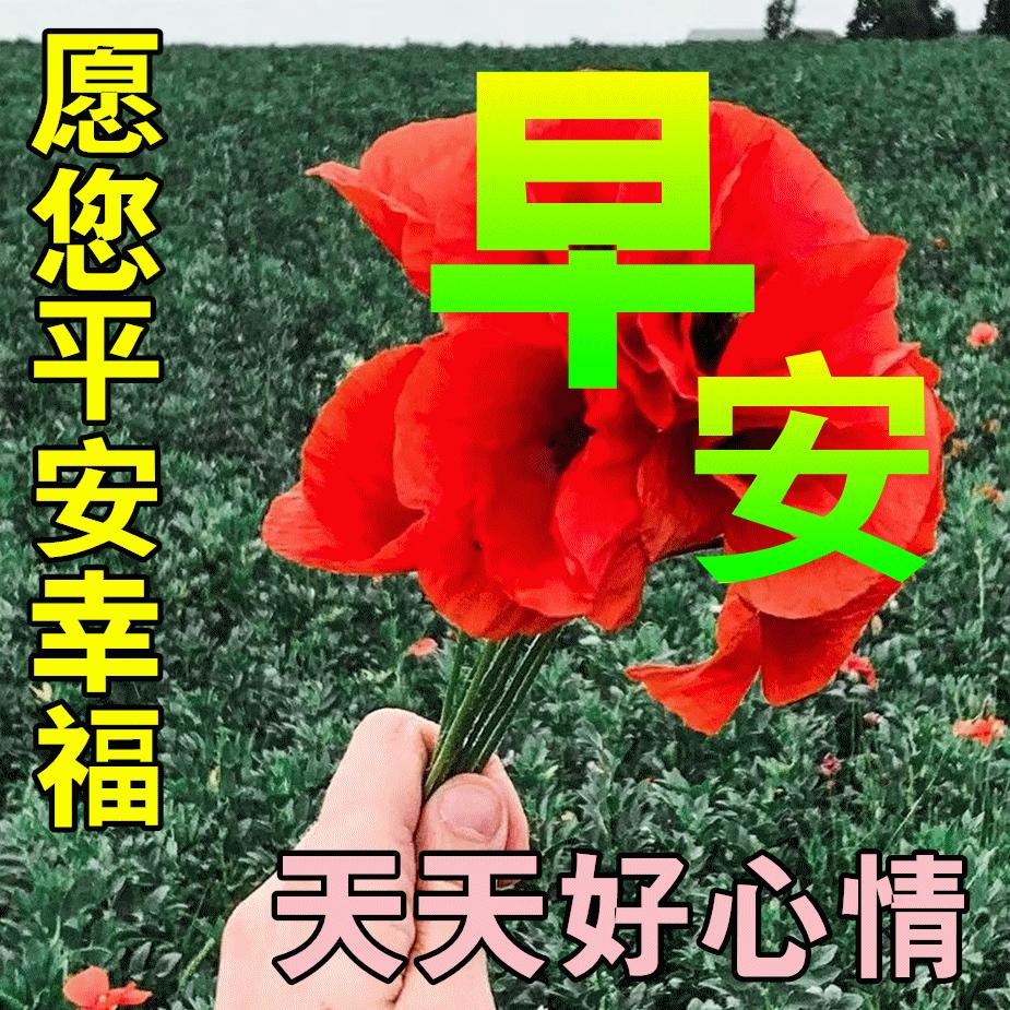 最新早安心语正能量短句,早安的问候语正能量句子励志图片
