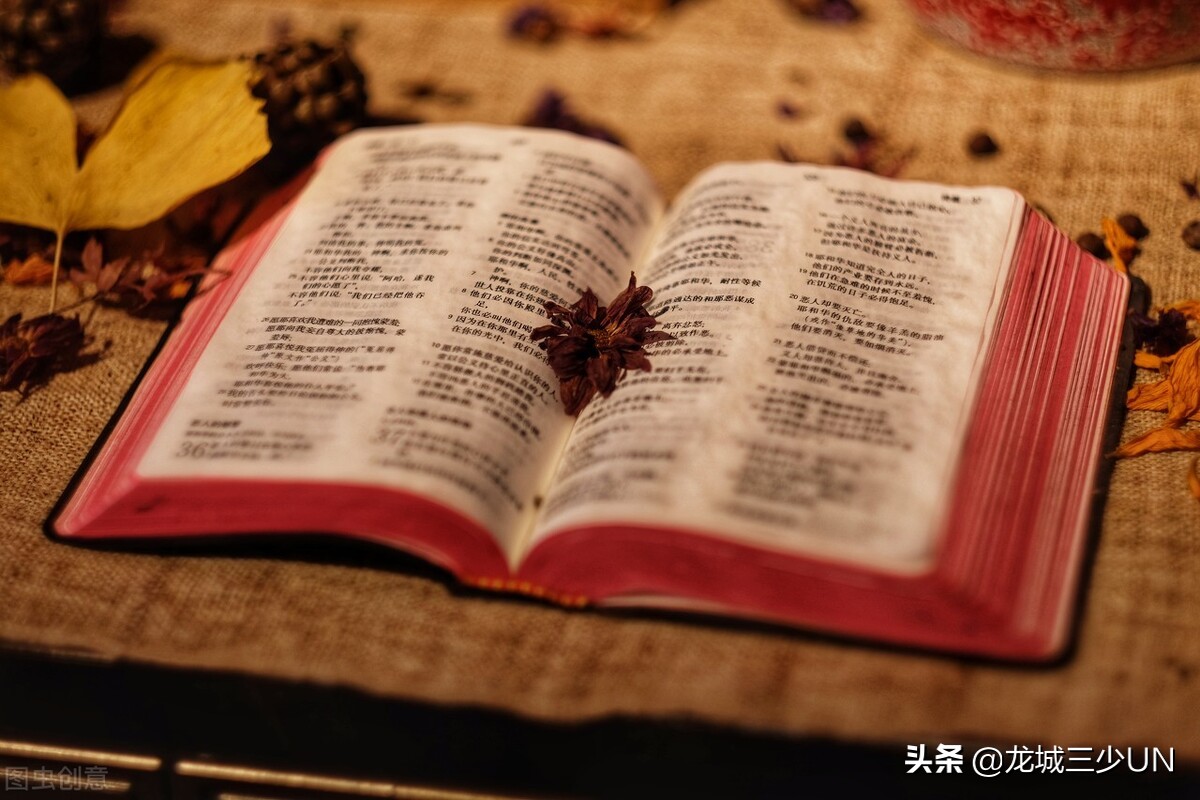 什么是理财什么是保险,什么是理财项目